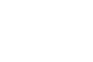 BHA white transparent logo.